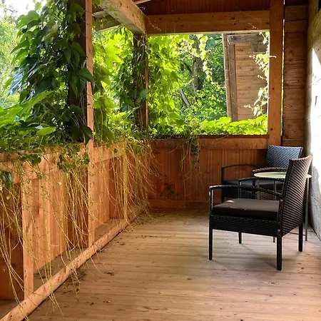 Chalet Alpen Lotus Innertkirchen