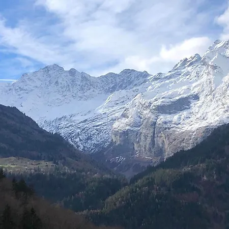 Alpen Lotus * انترتكيرشن