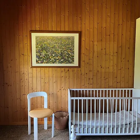 Alpen Lotus Chalet Innertkirchen