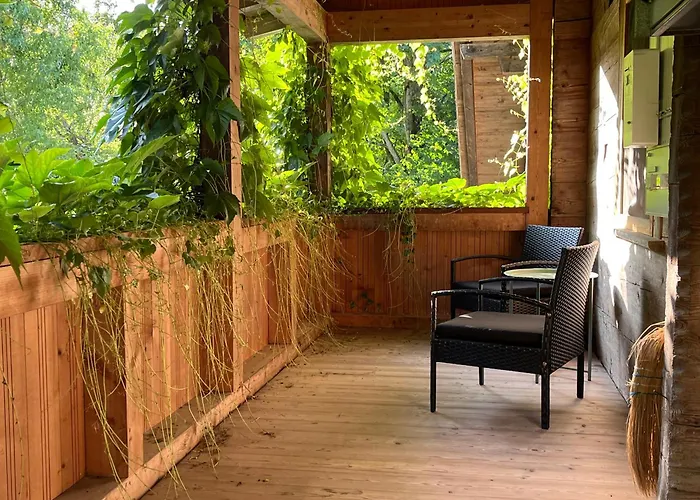 Alpehytte Alpen Lotus Innertkirchen